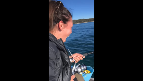 Девушки поймали на удочку осьминога и поплатились за это – видео - Sputnik Грузия
