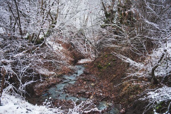 Да и морозов сильных этой зимой в Тбилиси не было. А вот в горах Ксани дневная температура была около -9 по Цельсию - Sputnik Грузия
