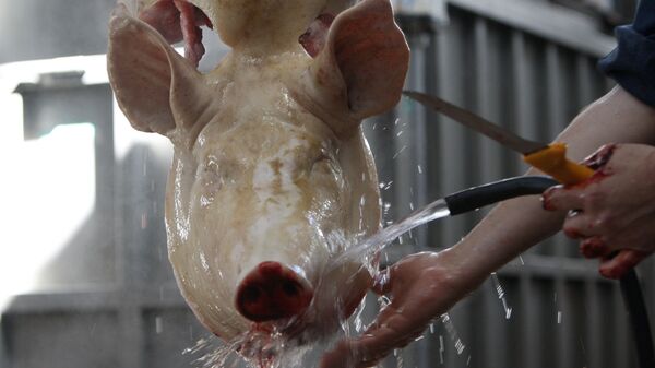 დაკლული ღორი - Sputnik საქართველო