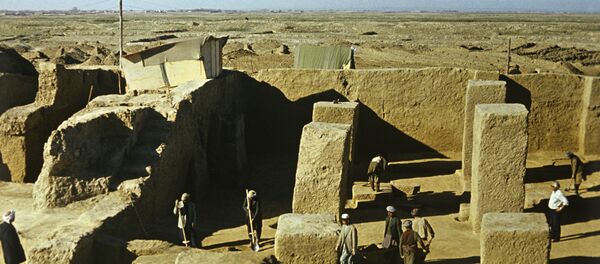 Советско-афганская археологическая экспедиция - Sputnik Грузия