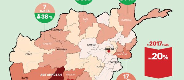Производство наркотиков в Афганистане - Sputnik Грузия