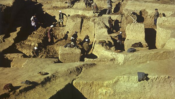 Раскопки совместной советско-афганской археологической экспедиции - Sputnik Грузия