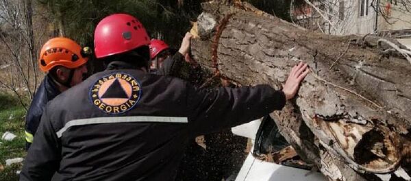 Последствия урагана в столице Грузии - Sputnik Грузия