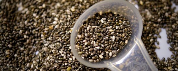 ჩია - Sputnik საქართველო