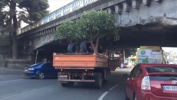 Грузовик с деревом застрял под тбилисским мостом - Sputnik Грузия