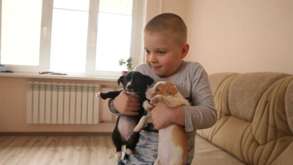 Шестилетний житель Владикавказа спасает бездомных и раненых зверей - Sputnik Грузия