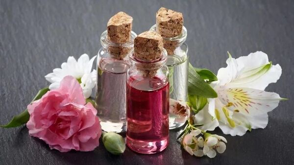 Уикенд по-тбилисски: Леонардо да Винчи, грузинская кухня и вечный Дон-Жуан - Sputnik Грузия