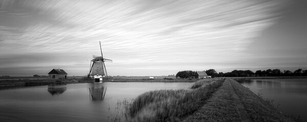 კუნძული ტექსელი კუნძული ტექსელი - Sputnik საქართველო