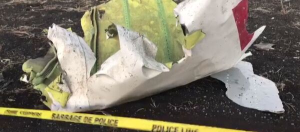 Крушения лайнера Boeing-737 в Эфиопии - видео обломков самолета Крушения лайнера Boeing-737 в Эфиопии - видео обломков самолета - Sputnik Грузия