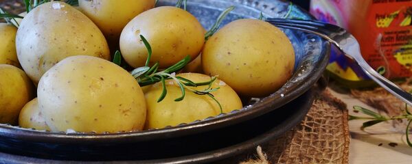 მოხარშული კარტოფილი მოხარშული კარტოფილი - Sputnik საქართველო