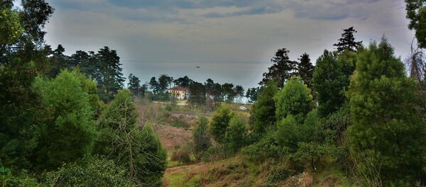 Цихисдзири - Sputnik Грузия