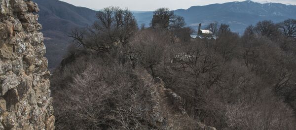 ბოჭორმა ბოჭორმა - Sputnik საქართველო