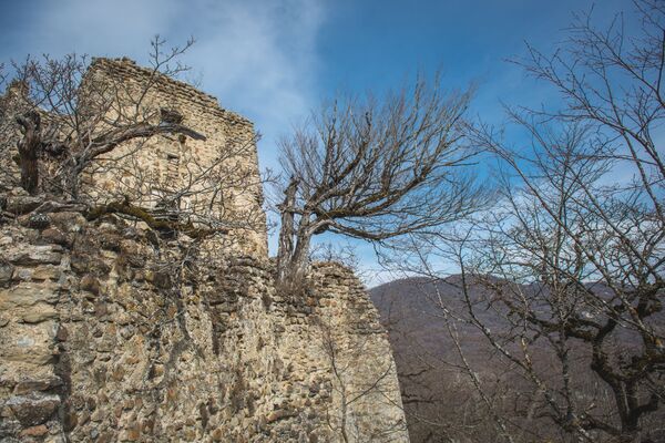 Со стен крепости открывается впечатляющий вид на окрестности. А если смотреть с горных троп на крепостные стены, то даже несмотря на то, в каком они сейчас состоянии, эти мощные сооружения все равно производят впечатление неприступности - Sputnik Грузия