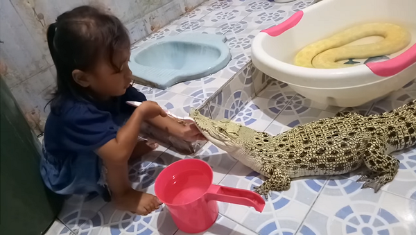Родители сняли на видео маленькую дочь, чистящую зубы крокодилу - Sputnik Грузия