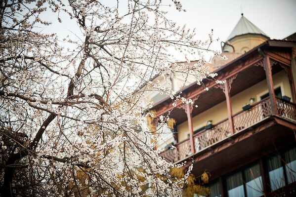Старинные балкончики на фоне цветущих деревьев так и манят прогуляться по улочкам старого города - Sputnik Грузия