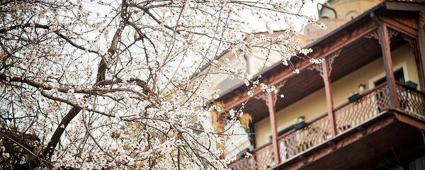 Весна в Тбилиси - исторический центр города Весна в Тбилиси - исторический центр города - Sputnik საქართველო