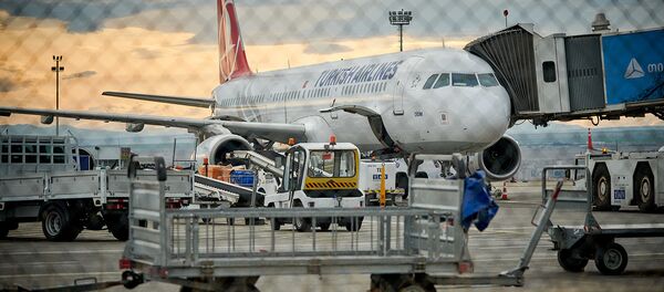 Самолет Турецких авиалиний Turkish Airlines в тбилисском аэропорту Самолет Турецких авиалиний Turkish Airlines в тбилисском аэропорту - Sputnik Грузия