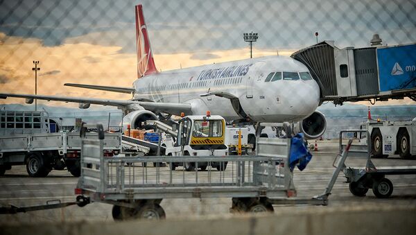 Самолет Турецких авиалиний Turkish Airlines в тбилисском аэропорту - Sputnik Грузия