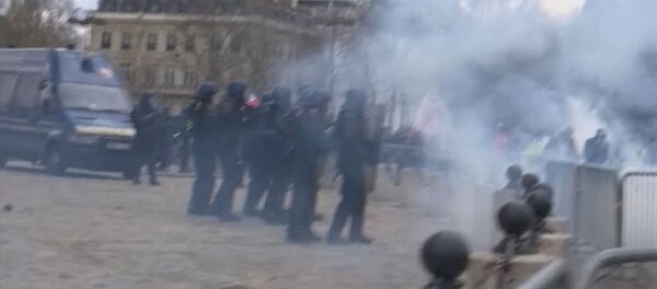 Как полицейские разгоняли протестующих желтых жилетов в Париже - Sputnik Грузия