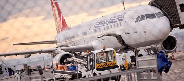 Самолет Турецких авиалиний Turkish Airlines в аэропорту - Sputnik Грузия