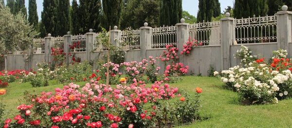 სამების ტაძრის ვარდების ბაღი - Sputnik საქართველო