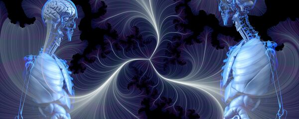 ადამიანის ანატომია ადამიანის ანატომია - Sputnik საქართველო