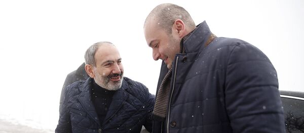 მამუკა ბახტაძე და ნიკოლ ფაშინიანი ენოკავანში მამუკა ბახტაძე და ნიკოლ ფაშინიანი ენოკავანში - Sputnik საქართველო