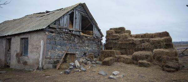 Житель села Чрдилисубани Тариэл Микеладзе убил волка, который терроризировал его деревню - Sputnik Грузия