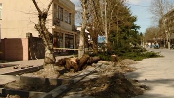 ЧП в Кутаиси: деревья не выдержали схватку с ураганом - Sputnik Грузия