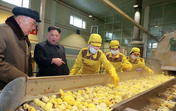 Лидер Северной Кореи Ким Чен Ын на картофельном комбинате в Самджиене - Sputnik Грузия