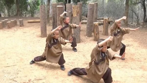 Закалка с детства: Малышей от 6 лет тренируют кунг-фу в китайском Шаолине - Sputnik Грузия