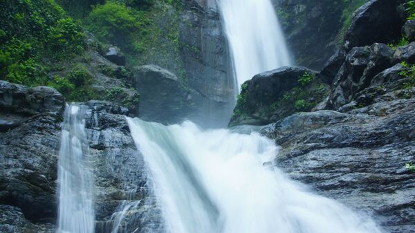 ლაგოდეხის ნაკრძალი 300 ათასი ევროს დაფინანსებას მიიღებს ლაგოდეხის ნაკრძალი 300 ათასი ევროს დაფინანსებას მიიღებს - Sputnik საქართველო