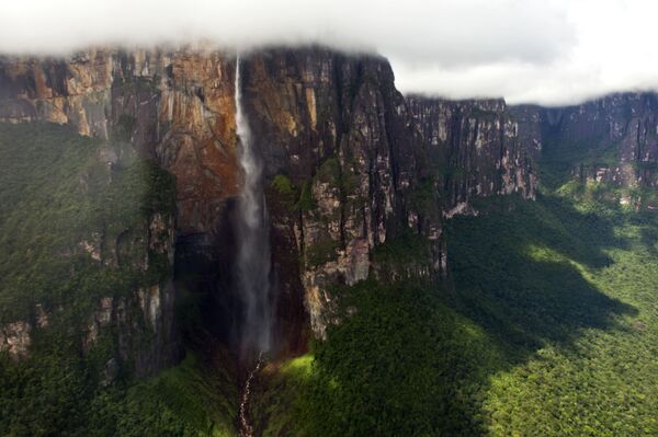 Анхель - высочайший в мире водопад. Его общая высота составляет 979 метров.  Для сравнения, Анхель в три раза больше Эйфелевой башни и в 20 раз превышает по размерам Ниагарский водопад - Sputnik Грузия