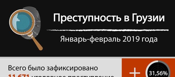 Преступность в Грузии январь-февраль Преступность в Грузии январь-февраль - Sputnik Грузия