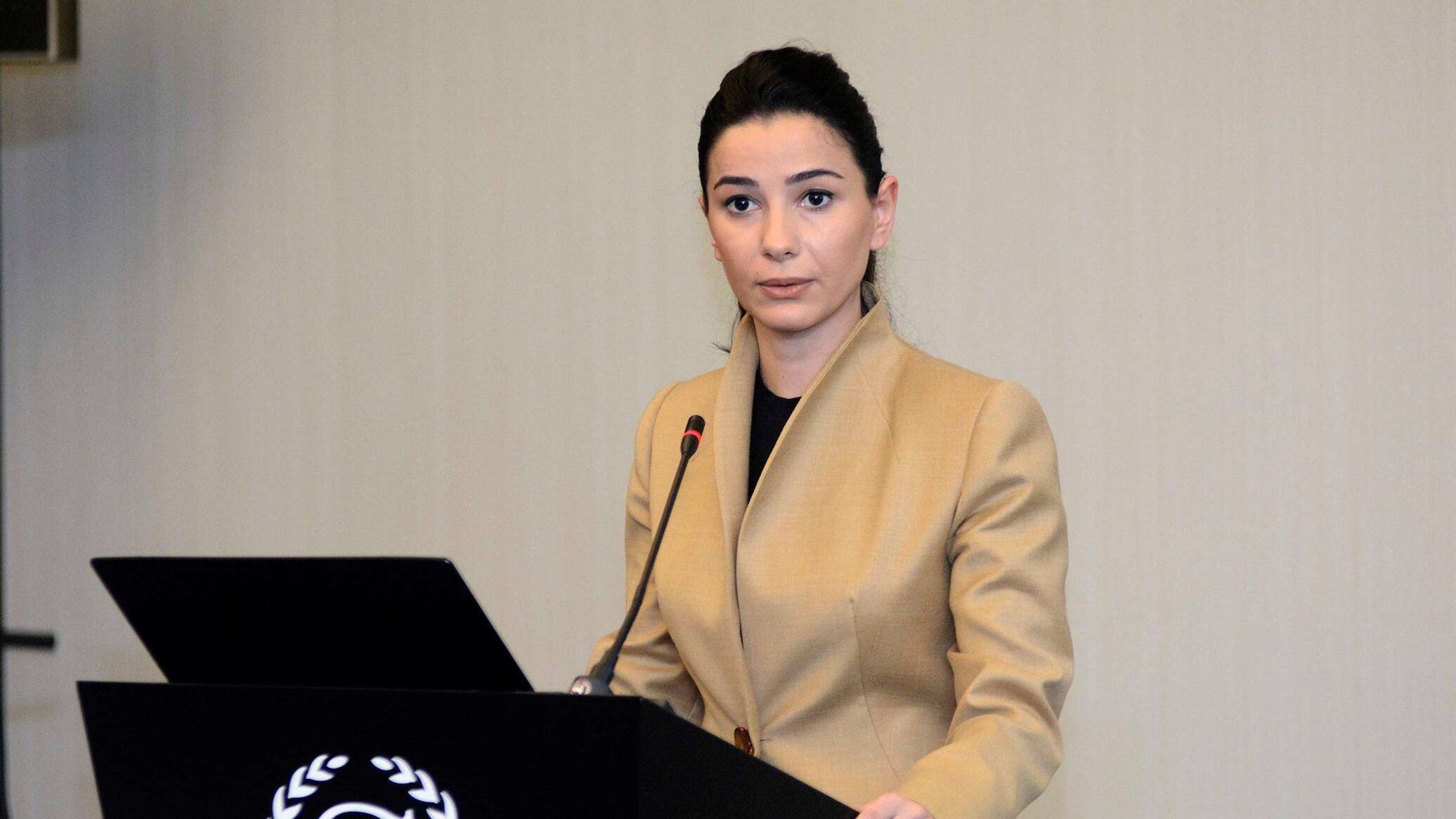 საქართველოს ავიაბაზარზე შესაძლოა კიდევ ერთი ჩინური კომპანია გამოჩნდეს