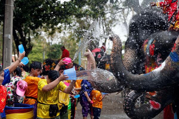 Люди и слоны обливаются водой во время празднования тайского Нового года - Sputnik Грузия