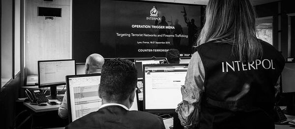 ინტერპოლი ინტერპოლი - Sputnik საქართველო