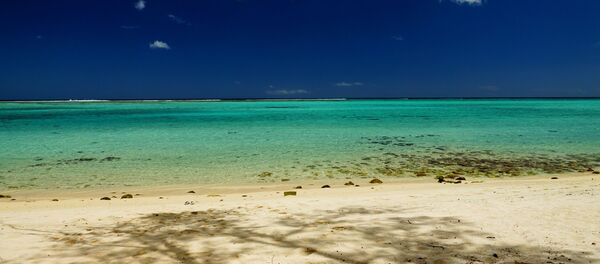 მავრიკი - Sputnik საქართველო