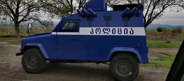 პოლიცია პანკისში - Sputnik საქართველო
