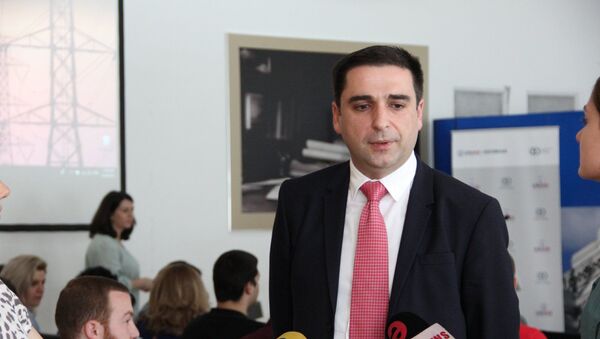 Руководитель Фонда развития энергетики Грузии Георгий Чиковани - Sputnik Грузия