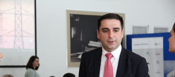 Руководитель Фонда развития энергетики Грузии Георгий Чиковани - Sputnik Грузия