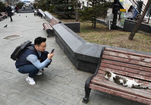 Турист фотографирует кошку на улице Адмирала Фокина во Владивостоке - Sputnik Грузия