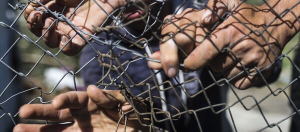 მავთულბადე მავთულბადე - Sputnik საქართველო