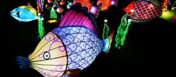 ფანრების ფესტივალი ფანრების ფესტივალი - Sputnik საქართველო