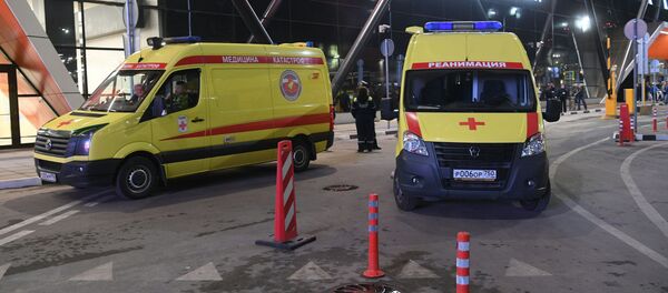 ვითარება შერემეტიევოს აეროპორტში - Sputnik საქართველო