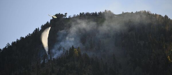 ხანძარი ბორჯომ-ხარაგაულის ტყე-პარკში - Sputnik საქართველო