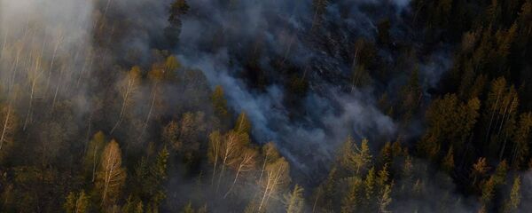ხანძარი ბორჯომის ტყეში ხანძარი ბორჯომის ტყეში - Sputnik საქართველო