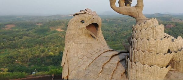 Дрон в Индии снял самую большую статую птицы на планете - Sputnik Грузия