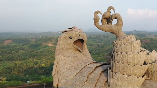 Дрон в Индии снял самую большую статую птицы на планете - Sputnik Грузия