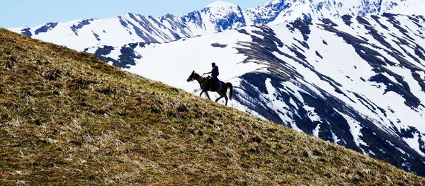 Конная прогулка на территории Северного отдела Кавказского государственного природного биосферного заповедника имени Х. Г. Шапошникова - Sputnik Грузия
